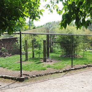 Large mixed aviary, 2022-05-17