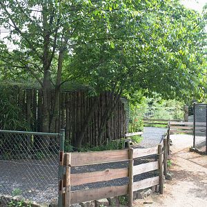 Walkway and part of the Alpaca paddock wrapping around the large mixed aviary, 2022-05-17