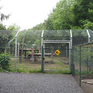 American black bear exhibit, 2022-05-17