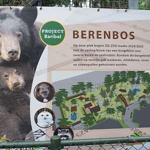 Sign for future project - American black bear and wolverine forest, 2022-05-17