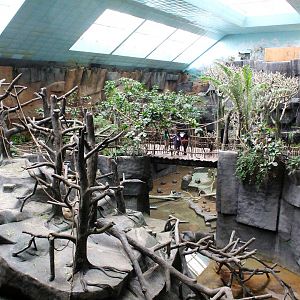 Tropic World: Africa - Overview