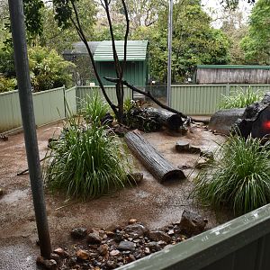 Lace Monitor Enclosure