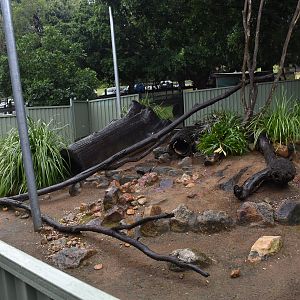 Lace Monitor Enclosure