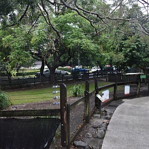 Swamp Wallaby Enclosure