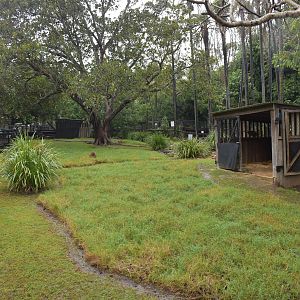 Pademelon/Swamp Wallaby Enclosure