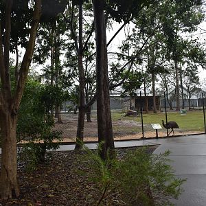 Kangaroo/Emu Enclosure