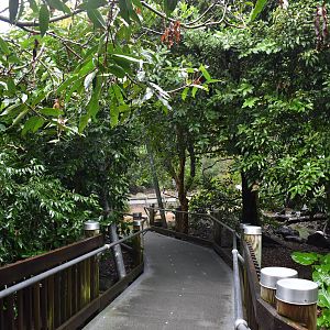 Walkthrough Aviary Interior