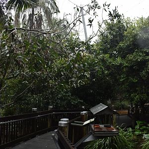 Walkthrough Aviary Interior