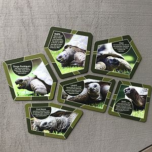 Aldabran Tortoise profiles