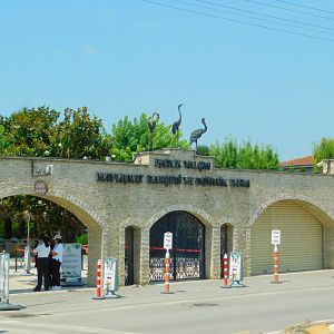 Enterance