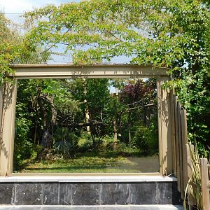 white-faced saki enclosure