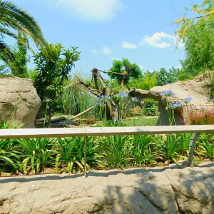 Coatimundi enclosure from afar