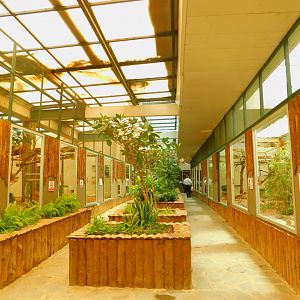 Inside the small monkey house