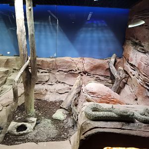 Reptopia- Deserts of the world