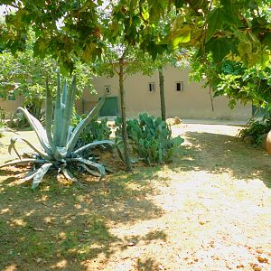 Tapirand capybara enclosure