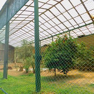 Half of the ibis aviary
