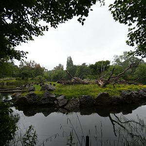 Sulawesi crested macaque island