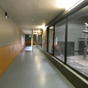 Bornean orang-utan house viewing area