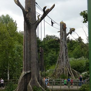 The O-line between islands