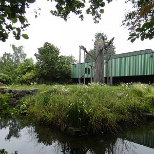 Bornean orang-utan and Siamang enclosure (3)