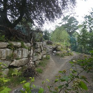 European wolf enclosure (2)