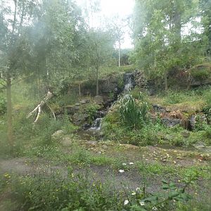 European wolf enclosure (4)