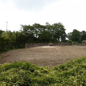 Asian elephant enclosure