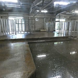 Hippo indoor enclosure