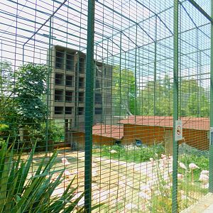 Flamingo enclosure