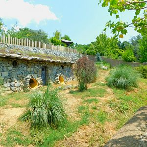 Striped hyena enclosure