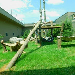 Chimpanzee enclosure