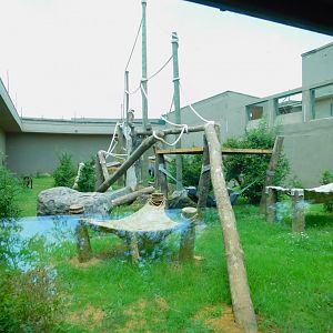 Chimpanzee enclosure