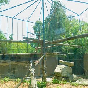 Siamang Enclosure