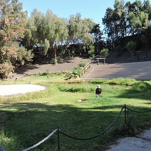 Bird Show Arena