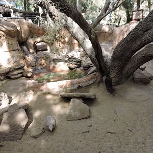 Armadillo Exhibit Two