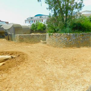 Indian rhinoceros pen