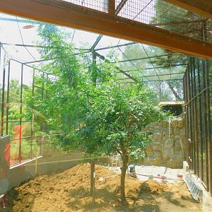 Old raccoon enclosure being renovated