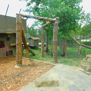 Raccoon enclosure