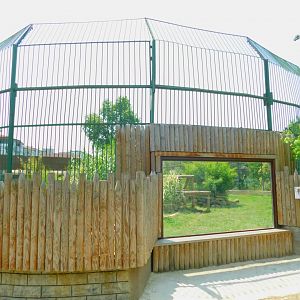 Amur tiger enclosure