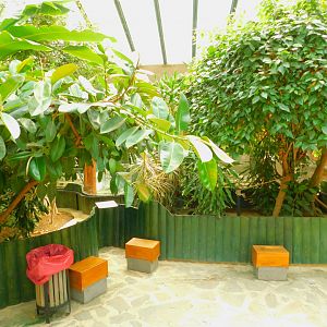 Inside the reptile house