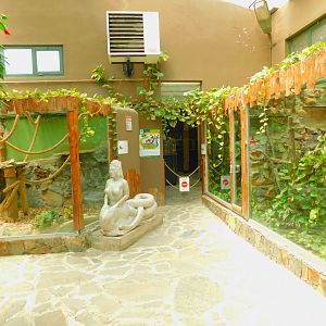 Inside the reptile house