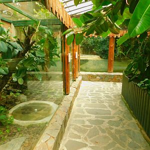 Inside the reptile house