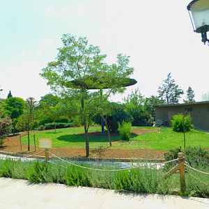 This is where the lion enclosure used to be