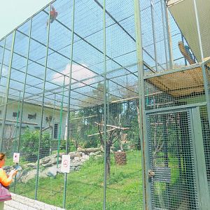 Macaw aviary