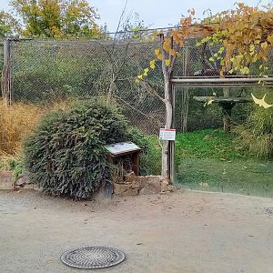 One of the cat-outdoor enclosures