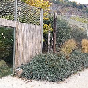If I remember right, the Javan leopard outdoor-enclosure