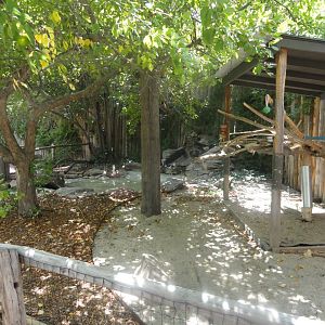 Blue and Gold Macaw Outdoor Exhibit
