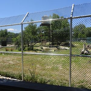 Grizzly Bear Exhibit
