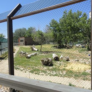 Grizzly Bear Exhibit