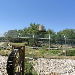 Grizzly Bear Exhibit